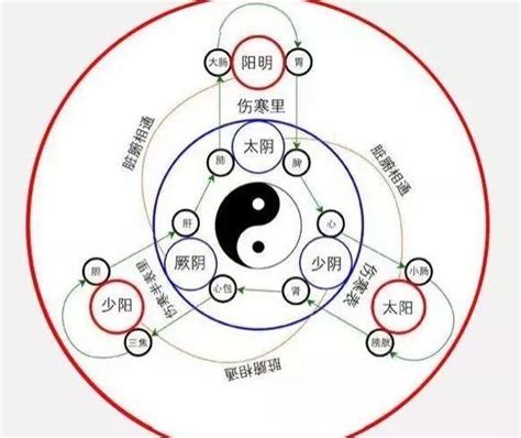 少陰 少陽|帶你學會六經（太陽、陽明、少陽、太陰、少陰、厥。